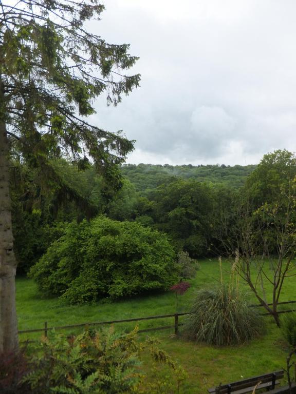 Freshford Shrubdown Bed & Breakfast エクステリア 写真