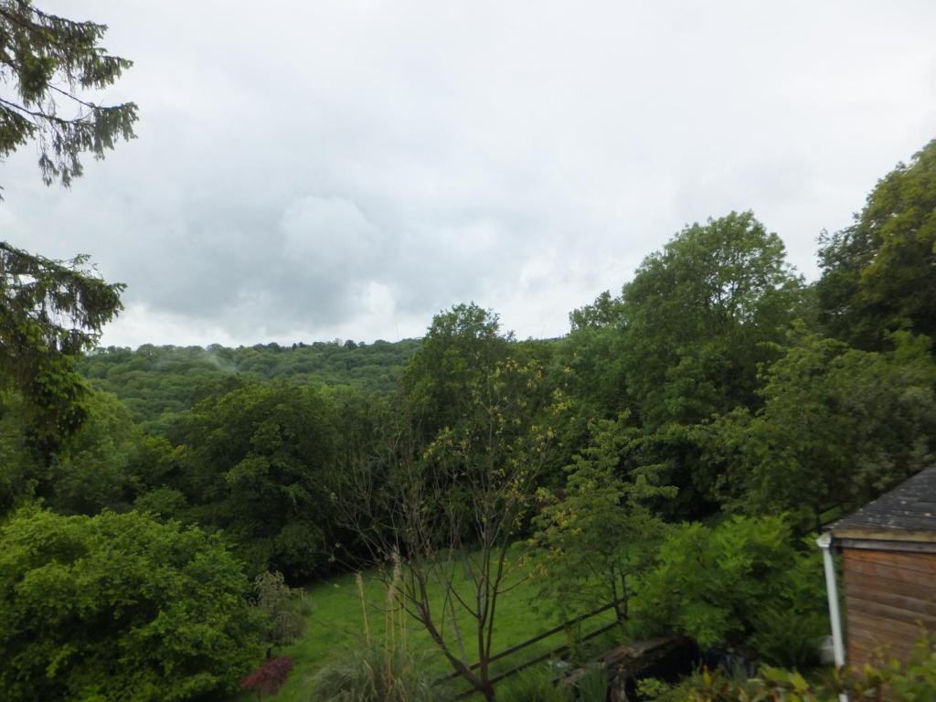 Freshford Shrubdown Bed & Breakfast エクステリア 写真